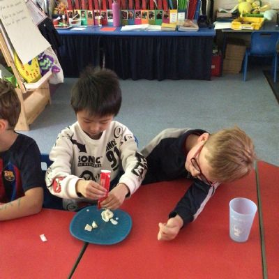 IMG0296-Copy