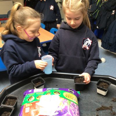 Science in KS1 2024